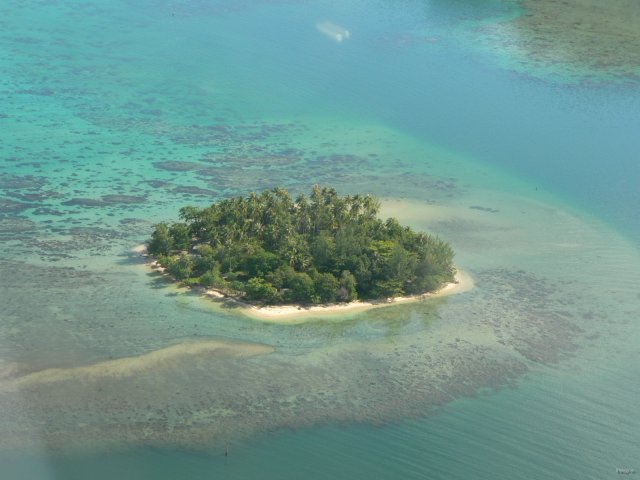 61- Le motu Horea 